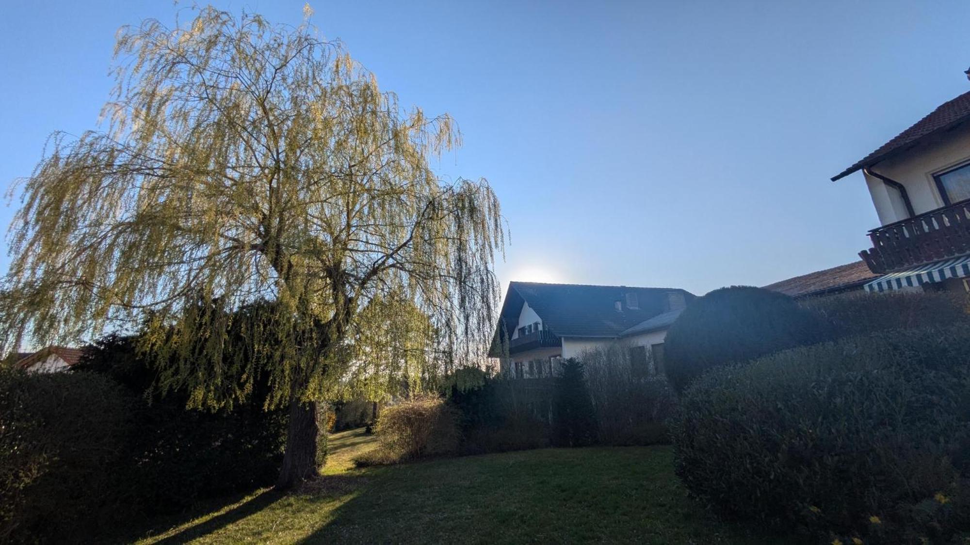 Landhotel Sonneneck - Breuna Im Naturpark Eksteriør bilde